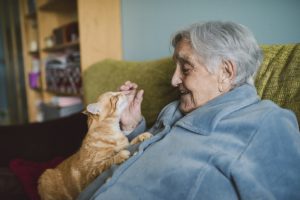 Happy senior woman with tabby cat on the couch
