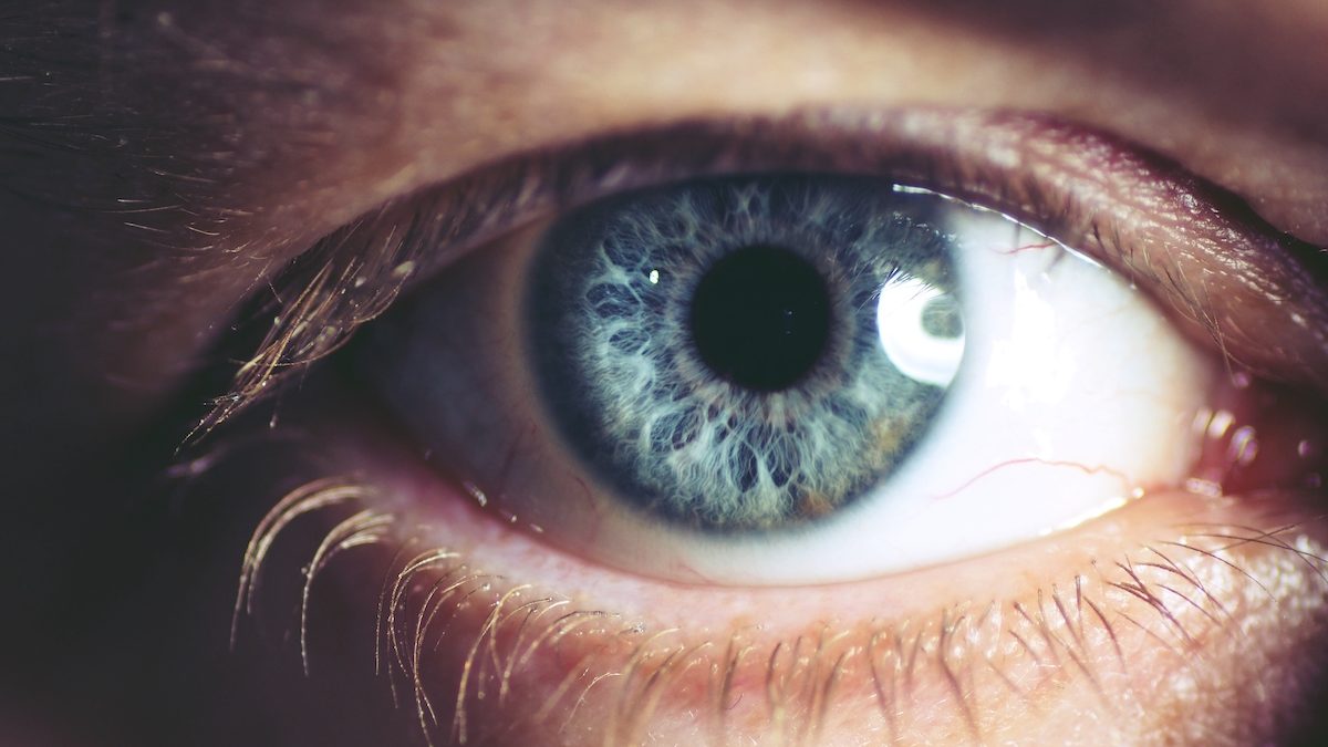 Un nuevo estudio revela el color de ojos más atractivo para los hombres y  las mujeres - Cadena Dial