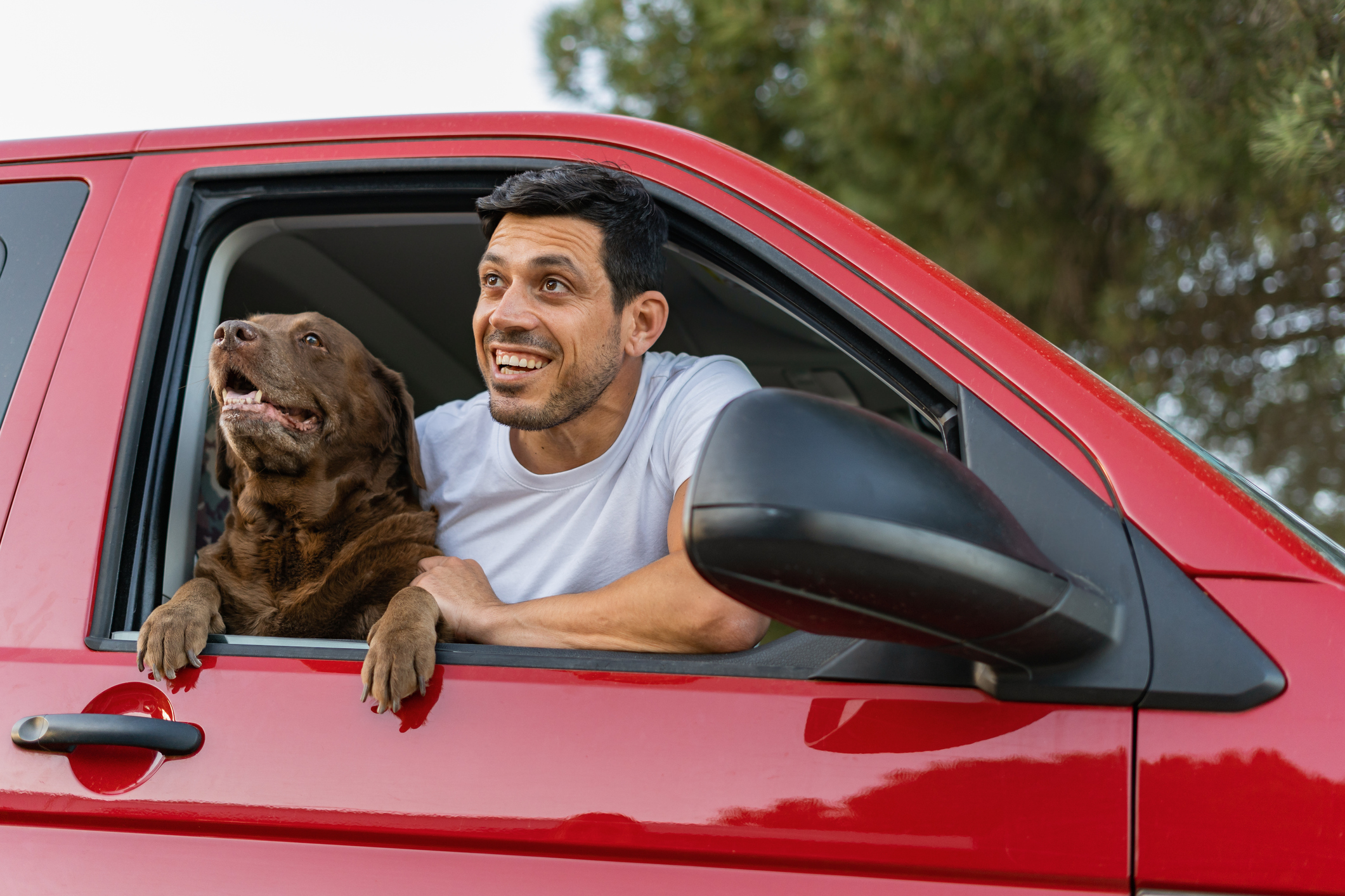 Cómo puedes llevar a tu perro en el coche sin que te multen