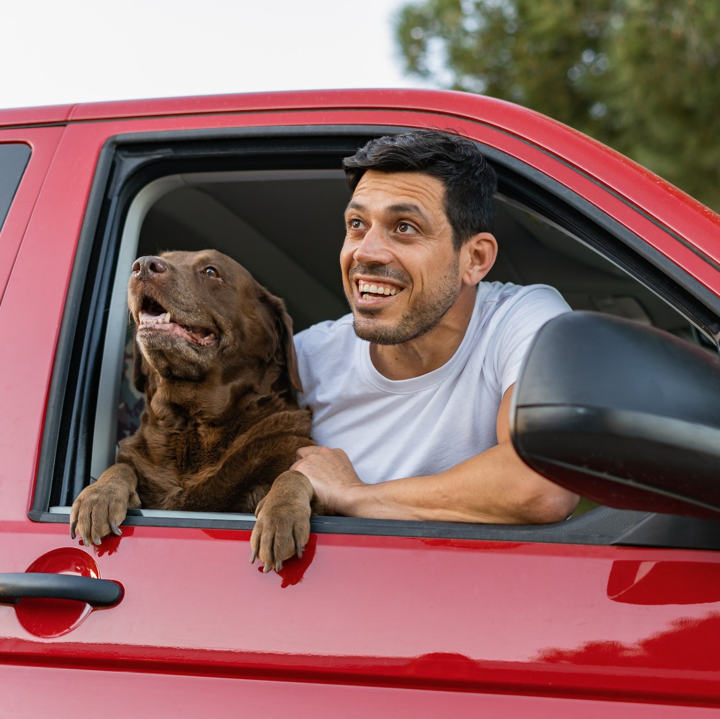 Un dueño junto a su perro disfrutando de su viaje en coche.