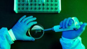 Aerial view of the hands of a scientist pouring fluid with the pipette into a petri dish in a laboratory with a green atmosphere.