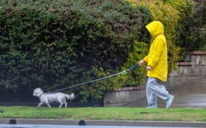 Another storm brings more rain, strong winds, flooding and road closures to Southern California