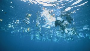 Plastic garbage is swimming on rhe water surface
