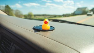 Rubber duck on a dashboard
