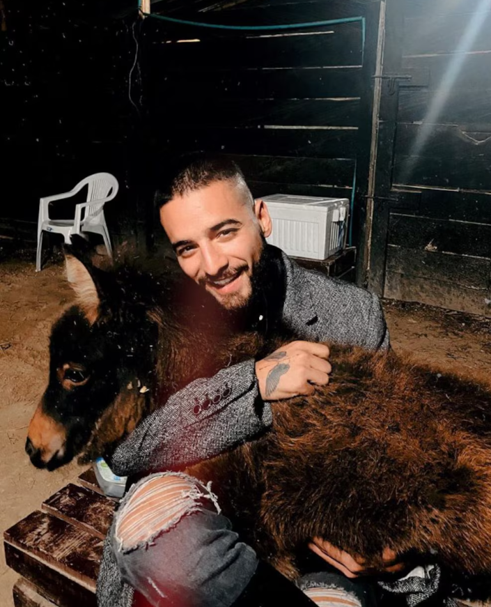 Maluma 